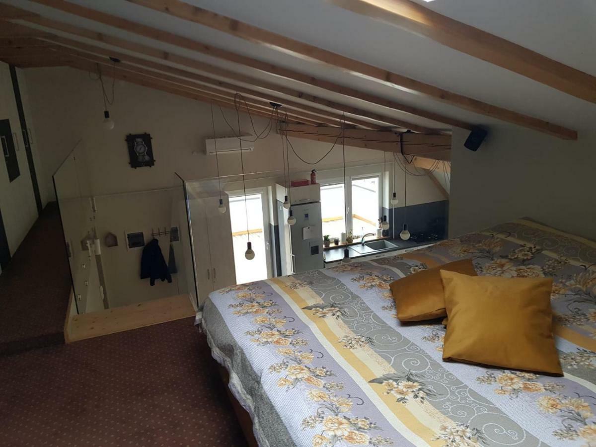 Leisure Apartmens Brasov Apartment Екстериор снимка