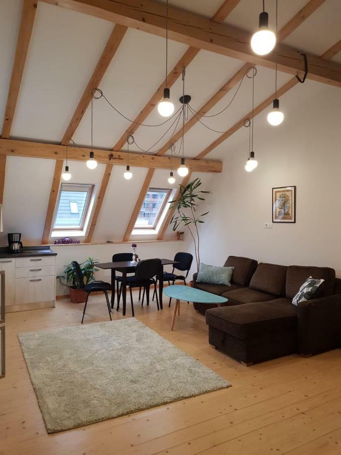 Leisure Apartmens Brasov Apartment Екстериор снимка